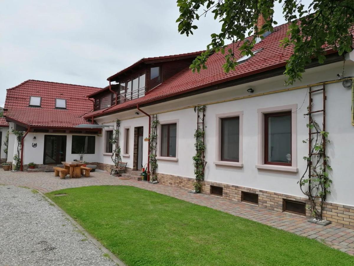 Neustadt Villa Cristian (Brasov) Exterior foto