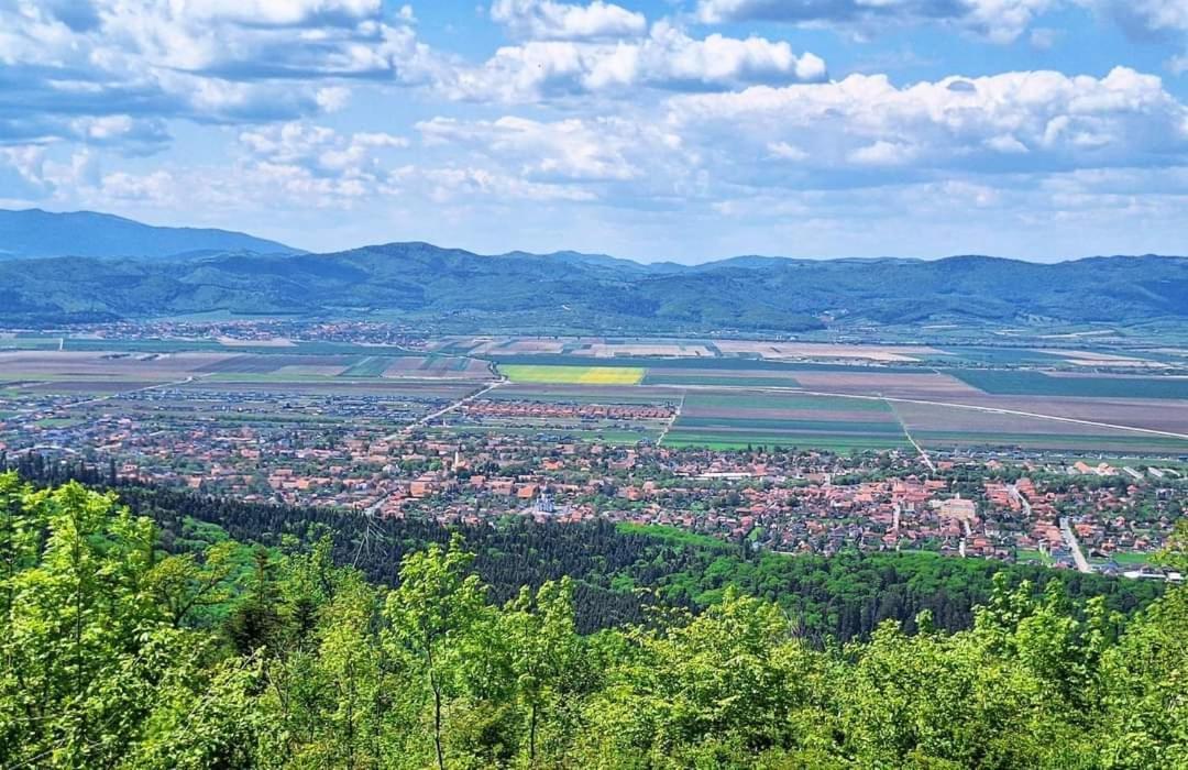 Neustadt Villa Cristian (Brasov) Exterior foto