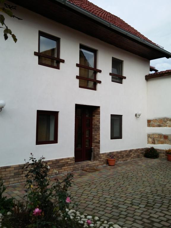 Neustadt Villa Cristian (Brasov) Exterior foto